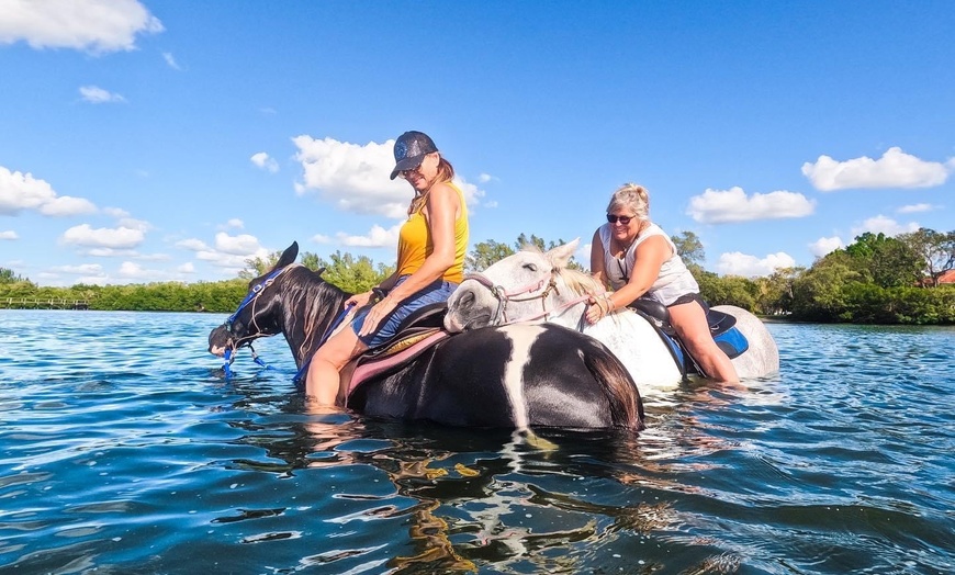 Florida Beach Horses - Up To 28% Off - Bradenton, FL | Groupon