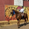 Image 4: Private Horseback Riding Lessons: Improve Skills & Confidence Outdoors