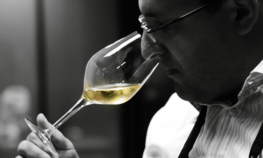 Image 6: Initiation à la dégustation : 5 ou 7 vins bio pour éveiller vos sens