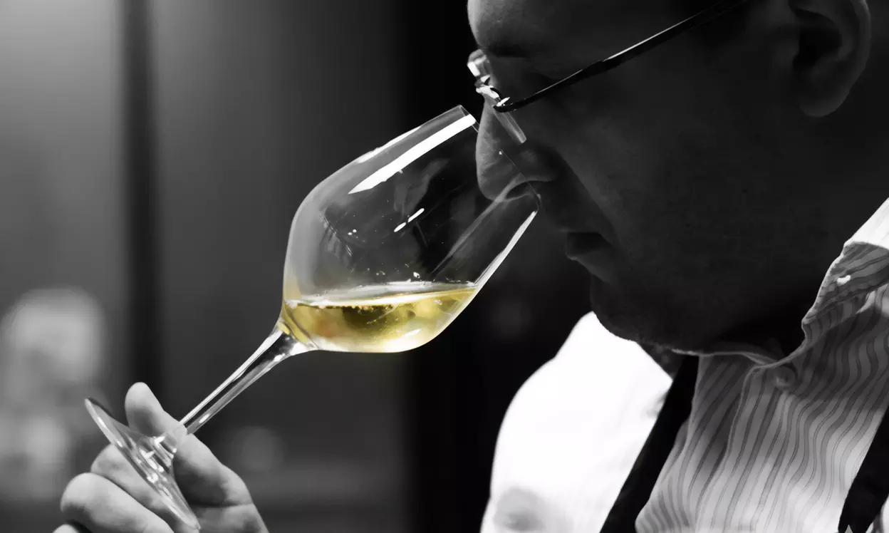 Initiation à la dégustation : 5 ou 7 vins bio pour éveiller vos sens