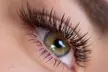 Get Classic or Volume (3D/6D) Lash Extensions w/ Optional 2 Week Fill at Latelier Ivy - Up to 50% Off - Second Medium