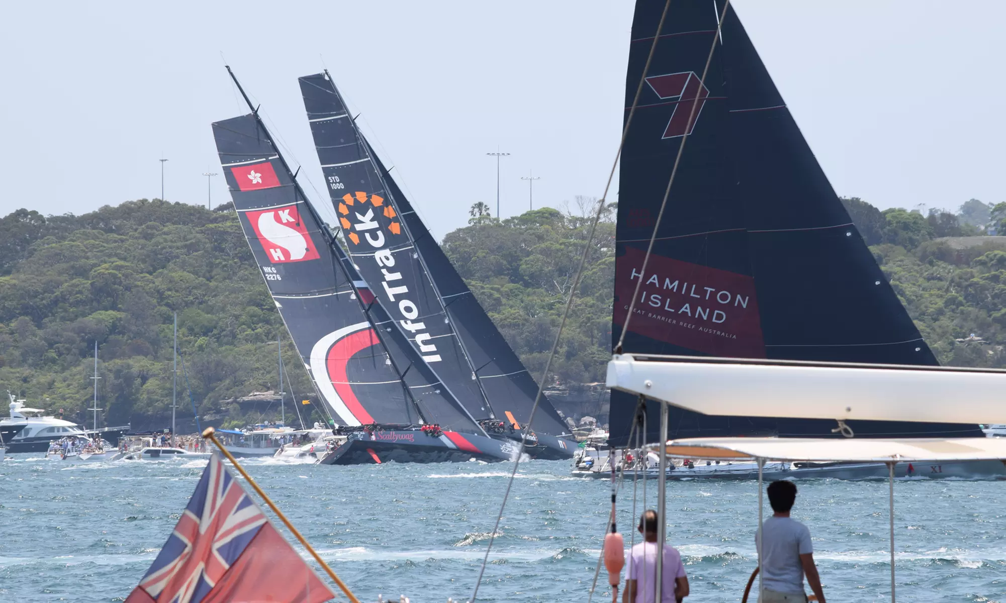 Experience the Magic: Australia Day Cruise Unveiled ! (Up to 32%Off) - Second Medium