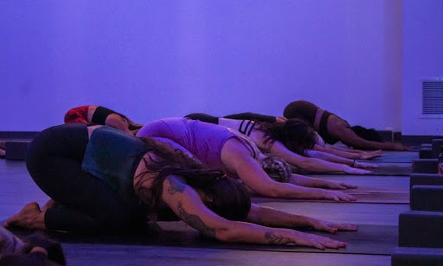 Image 4: Yoga Classes for All Levels with Variety of Styles