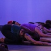Image 4: Yoga Classes for All Levels with Variety of Styles