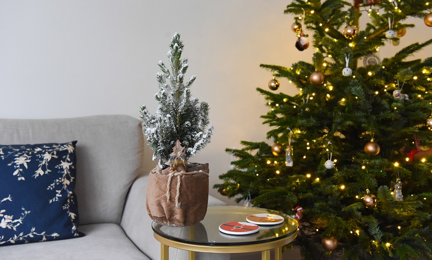 Image 7: One or Two Indoor Christmas Trees in Velvet Bags