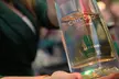 General Admission Tickets to Brooklyn Tequila Festival – September 27 (Up To 50% Off) - Second Medium