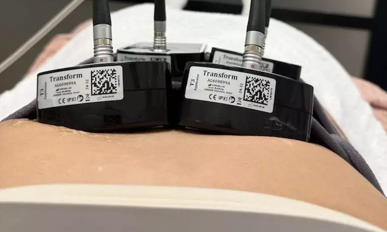 One, Three or Six Evolve X with Electromagnetic Body Sculpting Session