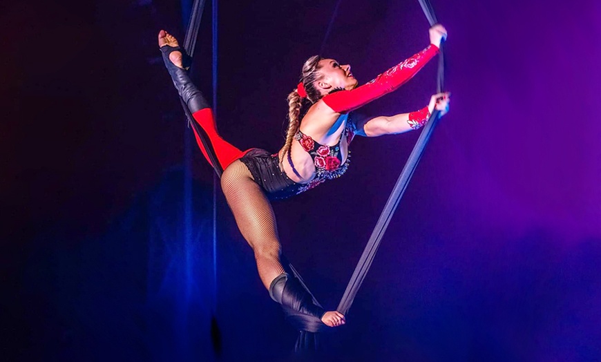 Image 11: Entrada oro o plata para niño o adulto al espectáculo "Viva el circo"