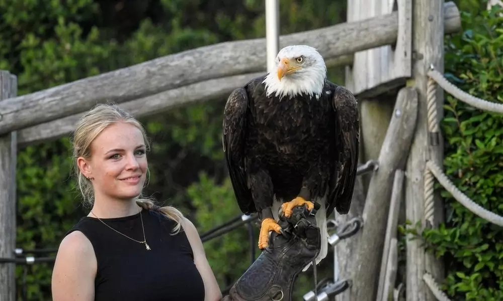 Interactieve roofvogelworkshop bij Settels Roofvogels