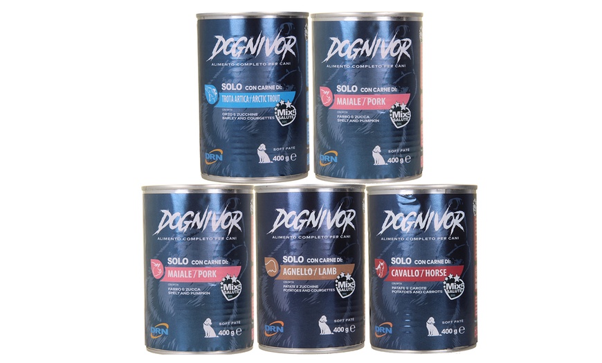 Image 1: Box con 24 lattine assortite di cibo umido per cani Dognivor