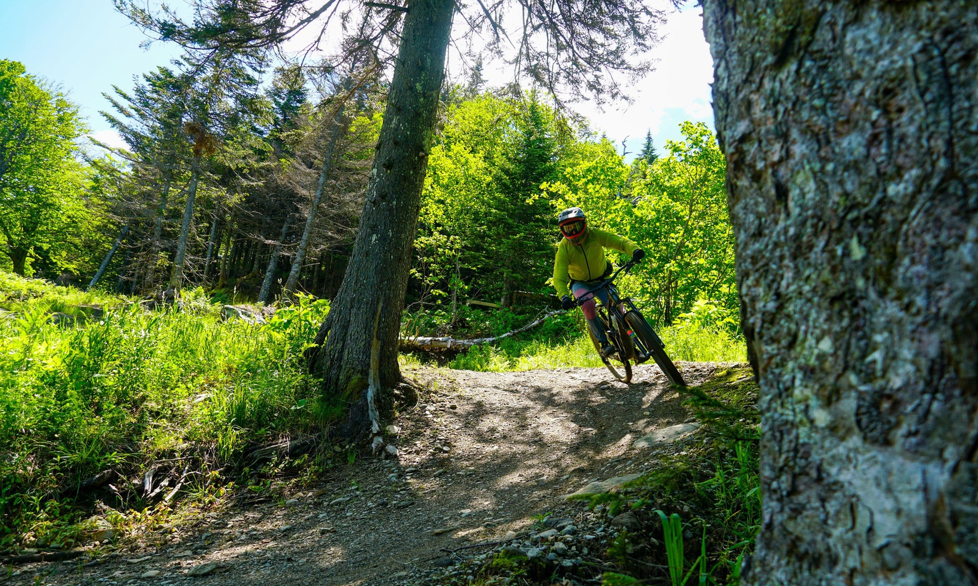 Up to 36% Off to for Bolton Valley Mountain Bike Park Tickets 
