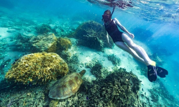 What to expect media