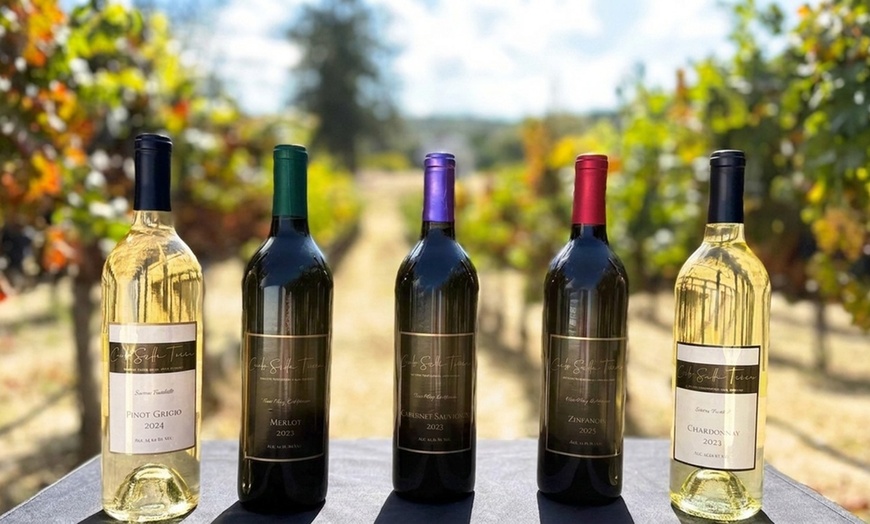 Image 2: Wine Tasting Experience w/ Personal Charcuteries for Up to 4 and More
