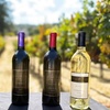 Image 2: Wine Tasting Experience w/ Personal Charcuteries for Up to 4 and More