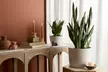 Next Day Delivery Plants in time for Mother's Day from 1-800-Flowers.com (Up to 50% Off) - Second Medium