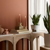 Image 9: Next Day Delivery Plants from 1-800-Flowers (up to 55% off)