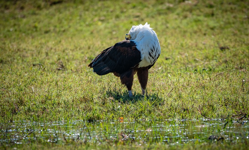 Image 41: Zimbabwe: 7-Night Yoga & Safari Retreat