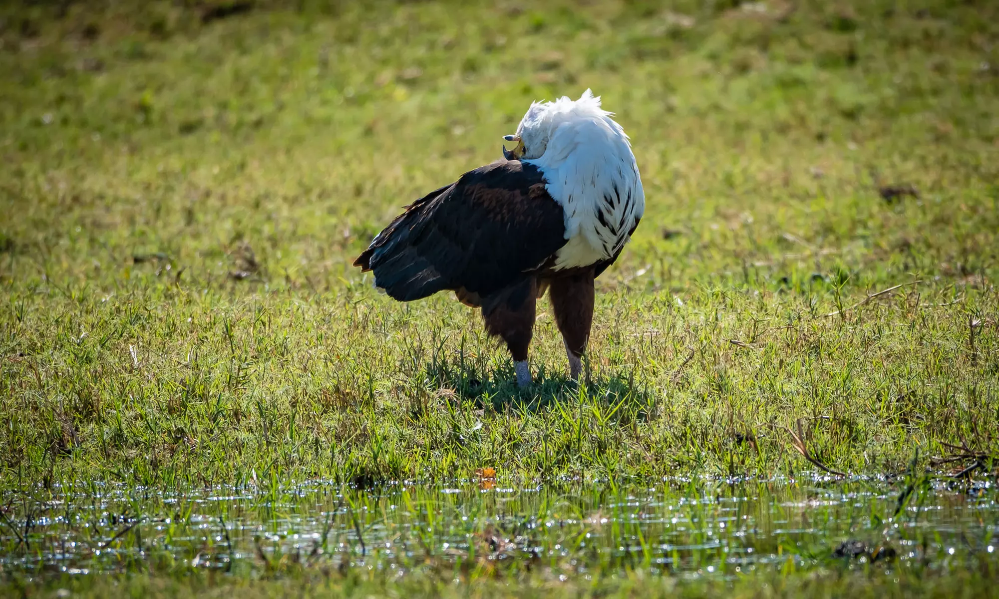 Zimbabwe: 7-Night Yoga & Safari Retreat