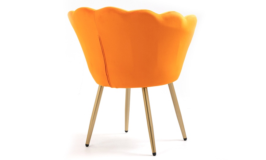 Image 39: Fluwelen schelp fauteuil