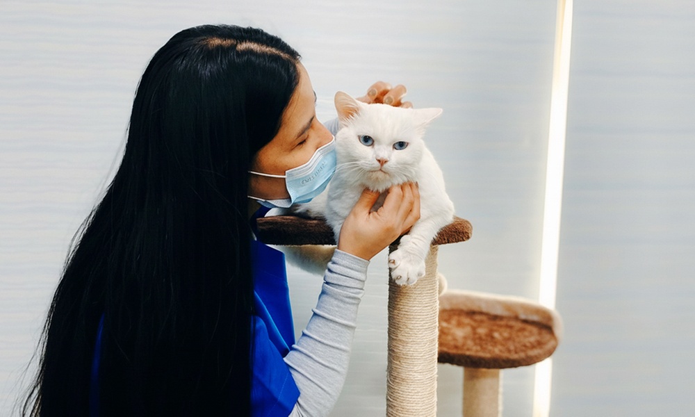 Pet Grooming & Vaccine Care (Consultation, PCH/DHPPI, and Deworming)