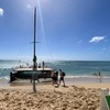 Image 2: Sail Away on a Spectacular 90-Minute TradeWind Sail for 2 or 4 Adults