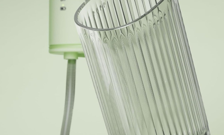 Image 4: Oral Irrigator Water Flosser