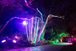 Explore Dazzling Light Displays at The Night Garden in Miami - Second Medium