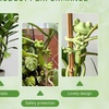 Image 5: 5Pcs Frog Plant Support Stands