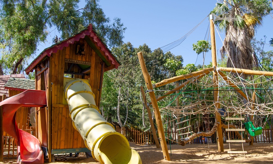 Image 11: Entrada nocturna a Bioparc Fuengirola con cena para niño o adulto