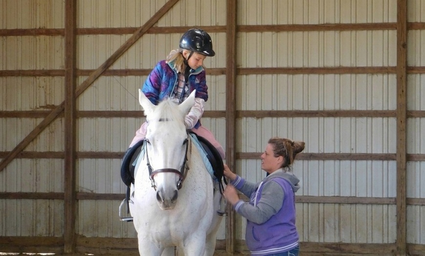 Image 2: Southport Horses: Hands-On Equestrian & Farm Experiences
