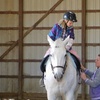 Image 2: Southport Horses: Hands-On Equestrian & Farm Experiences