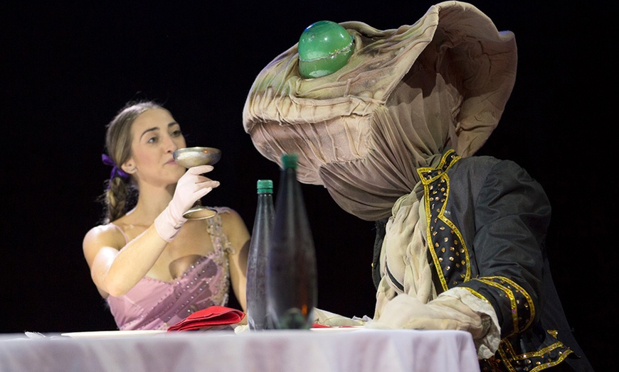 Image 10: Entrada lateral niño o adulto para "El Circo Encantado" en Granada