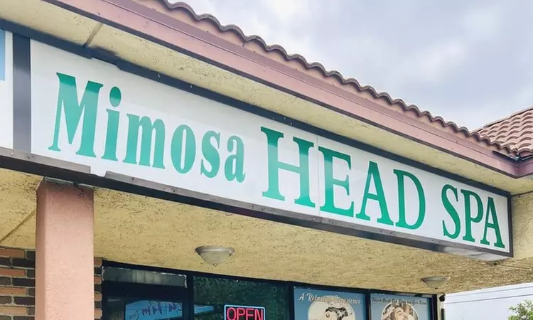 90 Min Deluxe Head Spa w/Massage + Organic Mini-Facial for 1 or 2