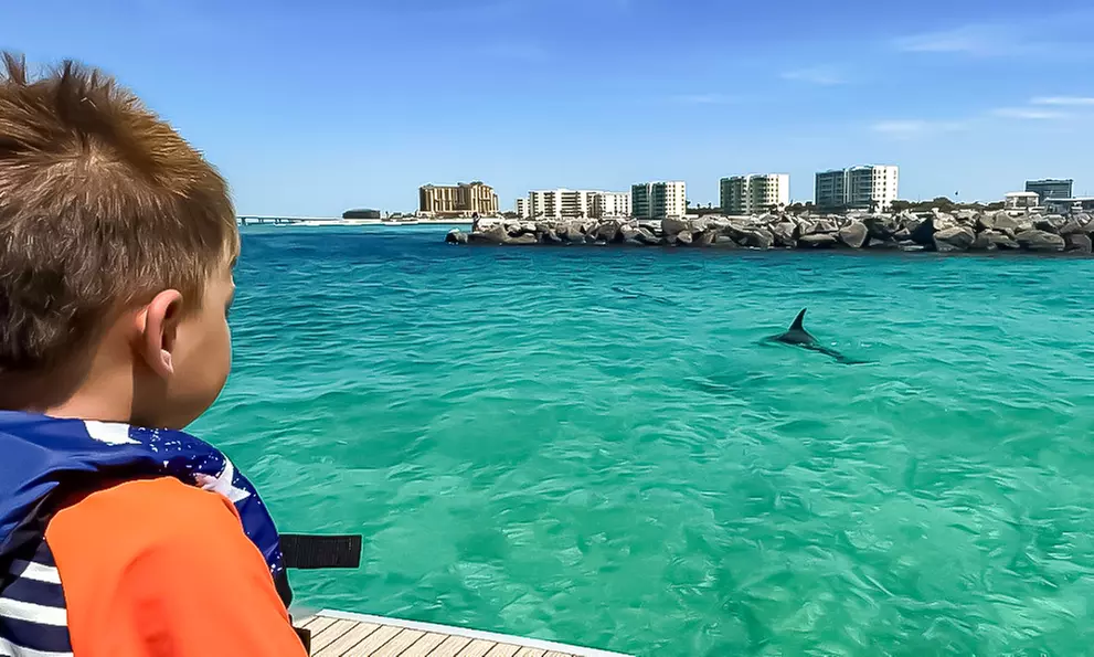 2 or 4-Hour Dolphin and Crab Island Cruise Or 2-Hour Sunset Cruise