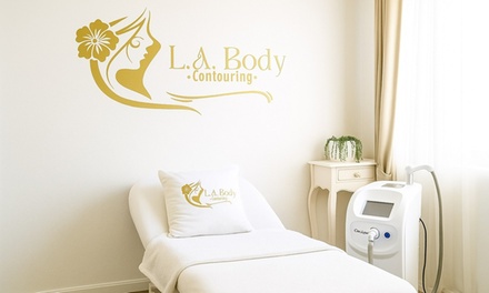One Morpheus8 RF Microneedling Treatment for Full Face - LA Body Contouring
