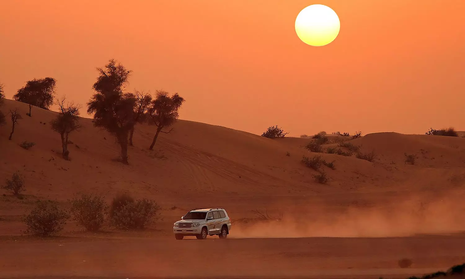 Desert Safari for Up to 4 People with Centralized Pick-Up