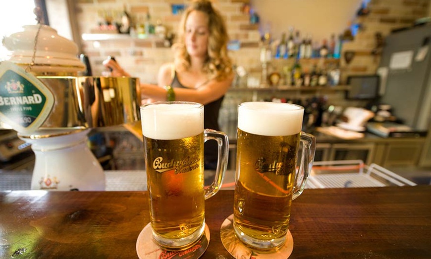 Image 6: European Meal with Beer