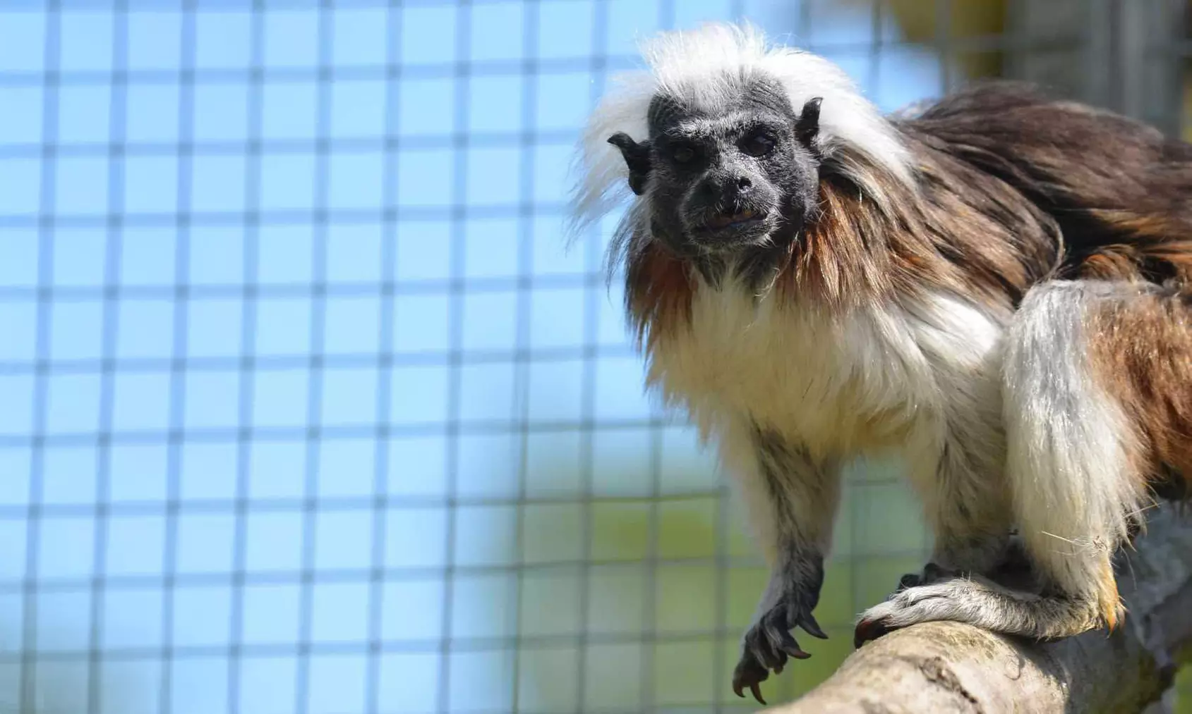 Billet enfant ou adulte pour La Réserve Exotique