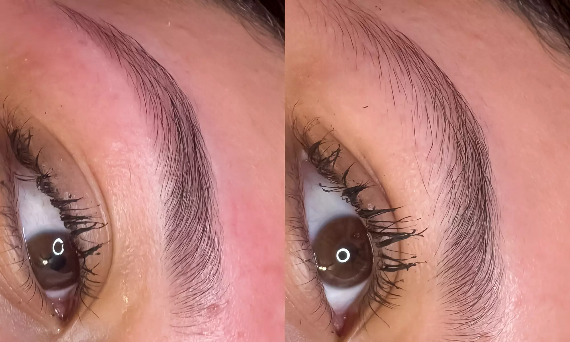 Glow Up with 1-Hour 15-Minute Custom Facial or Eyebrow Shape and Tint