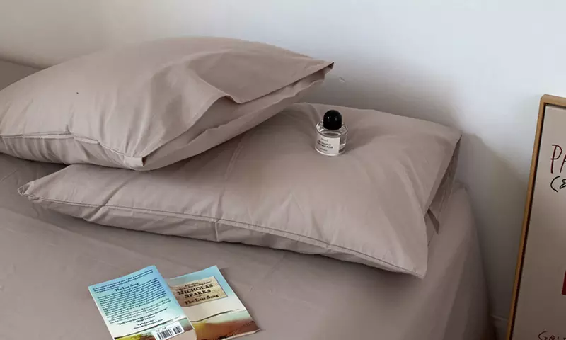 Pure Cotton 2 Piece Pillowcase Set