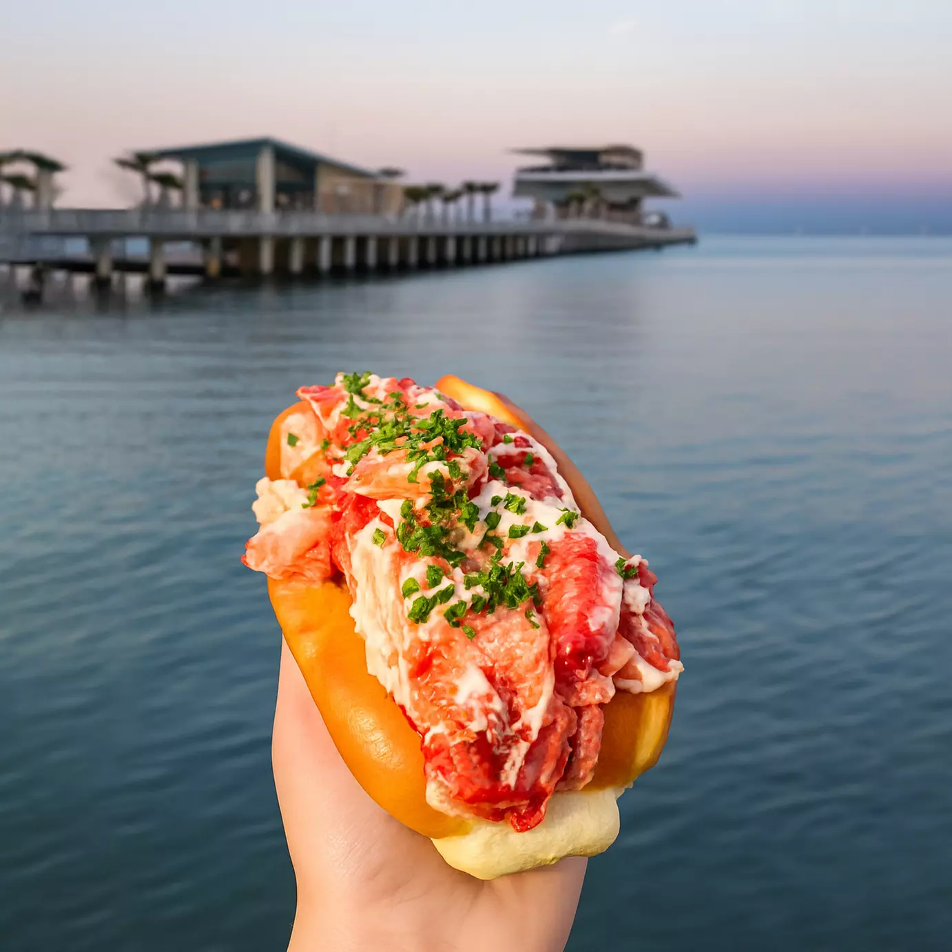 Enjoy a Christmas-Themed Food and Music Festival in Tampa Bay Area