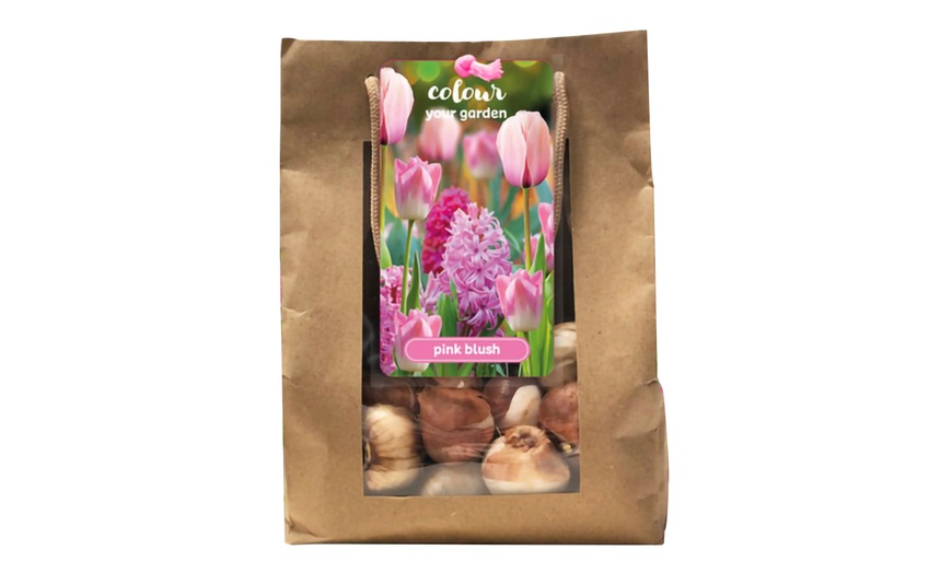 Image 7: Confezione di 25 bulbi con varietà di fiori color pesca e rosa