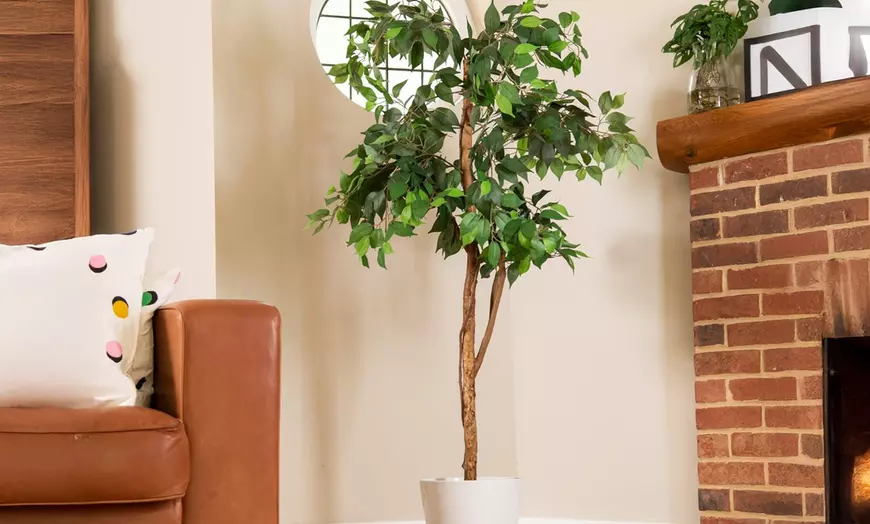 Image 8: Artificial Plants and Trees - Bamboo, Ficus, Olive and Palm