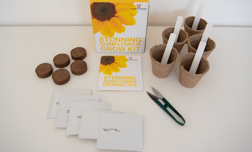 Image 7: Mixed Seed Grow Kits