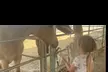 Horse riding and animal time at a private ranch. Family Experience, Mommy & Me, or Ranch Camp. All ages. Valid Mon-Fri - Second Medium