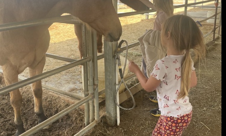 Image 3: Horse riding and animal time at a private ranch. Family Experience, Mommy & Me, or Ranch Camp. All ages. Valid Mon-Fri