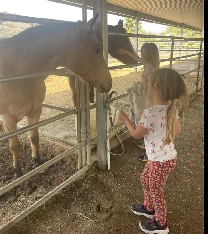 Mommy or Daddy & Me /Animal Petting Experience w/ Optional Horse Party
