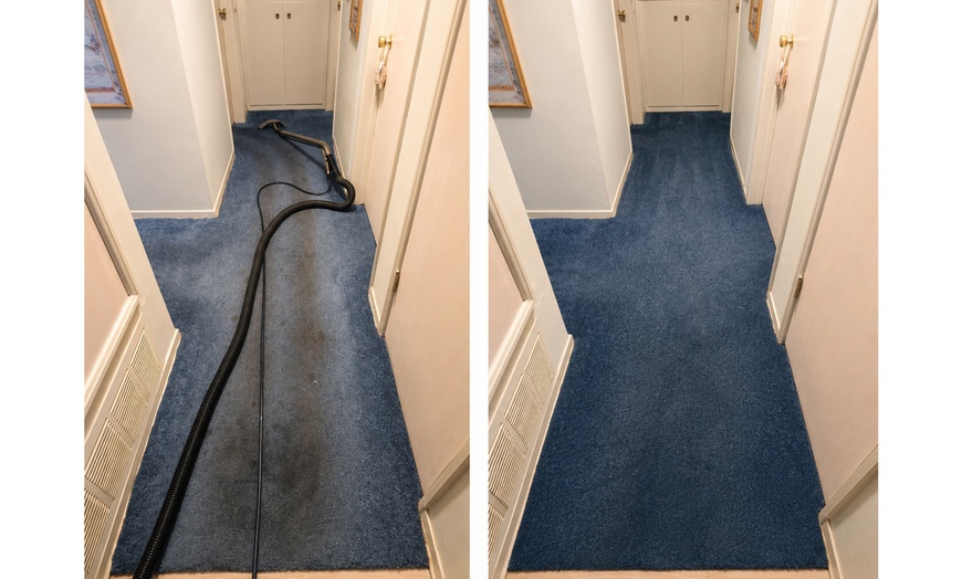 Image 2: Professional Carpet & Upholstery Cleaning with Eco-Friendly Solutions
