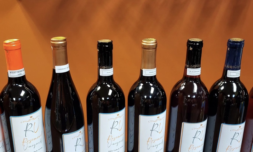 Image 5: Wine Tasting Experience for One, Two, or Four People
