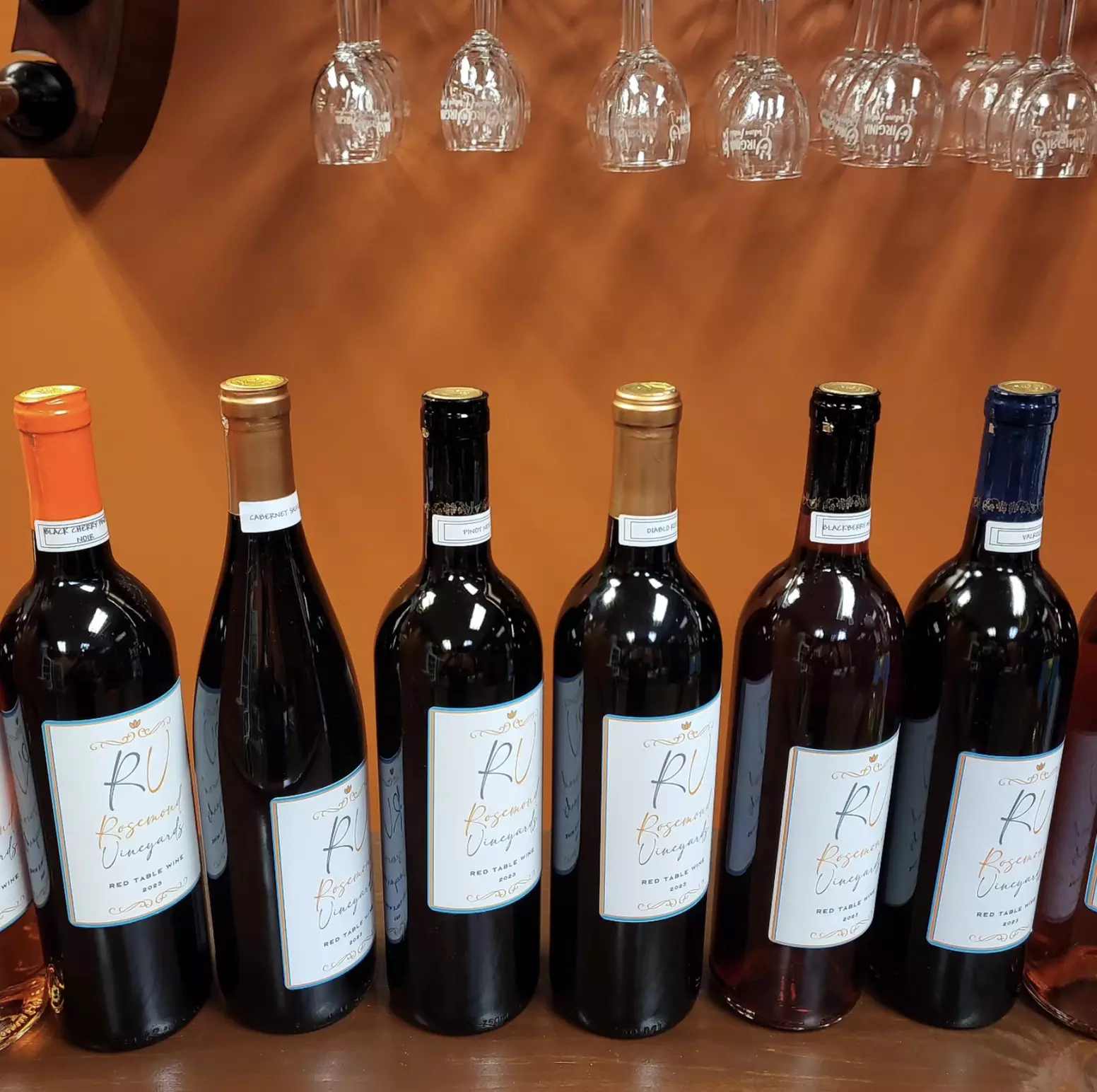 Wine Tasting Experience for One, Two, or Four People